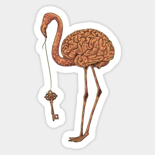 Brainingo Sticker